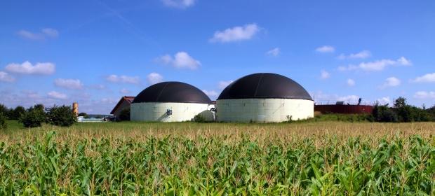 Biomass and Biogas
